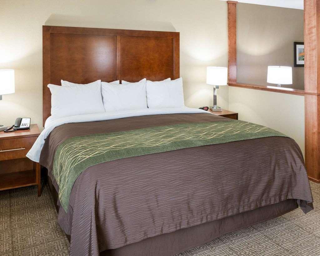 Comfort Inn & Suites West - Medical Center Rochester Rum bild